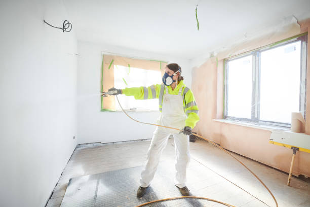 Best Mold Damage Restoration  in Denton, NC